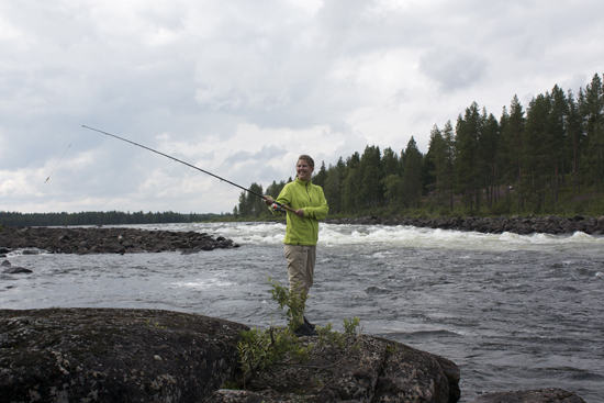 Lotta fiskar i maloforsen